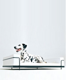 Dog Sofa inspired by Le Corbusier